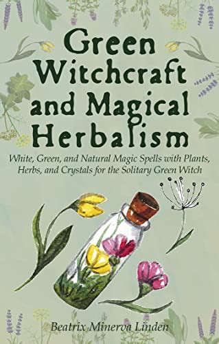 The Herbal Witch's Apothecary: A Guide for Solitary Practitioners